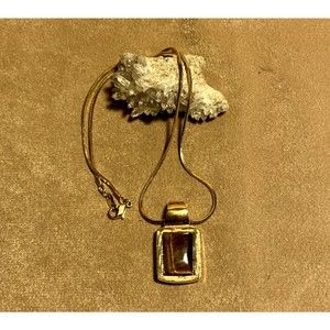 Modern Rectangular Necklace Gold with Tiger's Eye Compass Design On Back